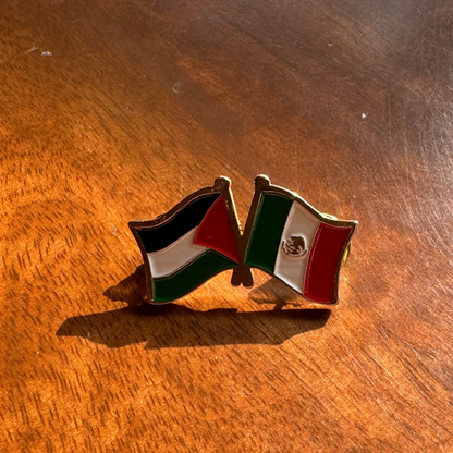 Pin de Palestina y México